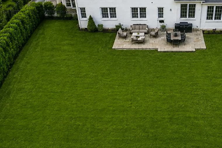 An empty back lawn before any work begins